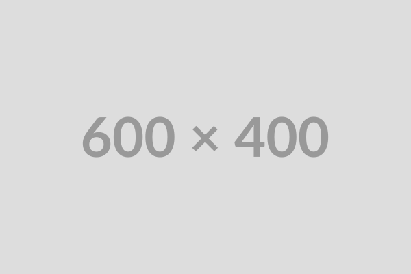 600X400
